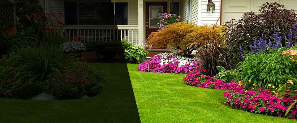 Manteo Landscapers