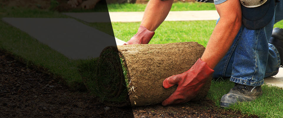 Manteo Landscapers